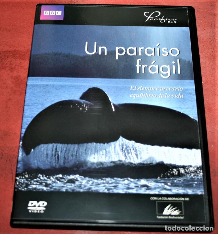 Cine: DVD - PAC&Iacute;FICO SUR - UN PARA&Iacute;SO FR&Aacute;GIL - BBC