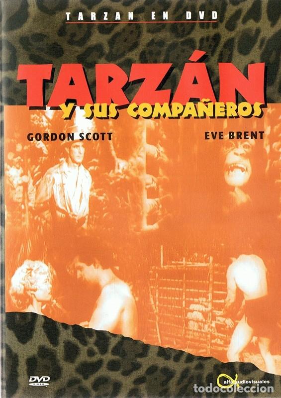 Cinema: TARZ&Aacute;N Y SUS COMPA&Ntilde;EROS GORDON SCOTT
