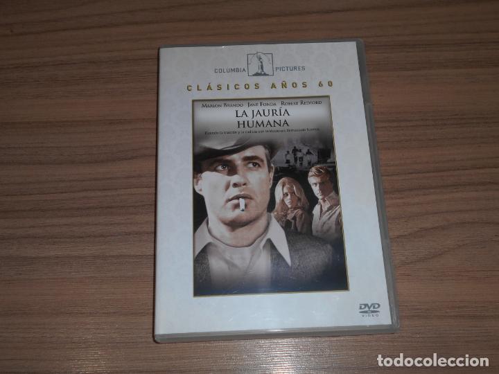 Cine: La JAURIA HUMANA DVD Marlon Brando JANE FONDA Robert Redford COMO NUEVA