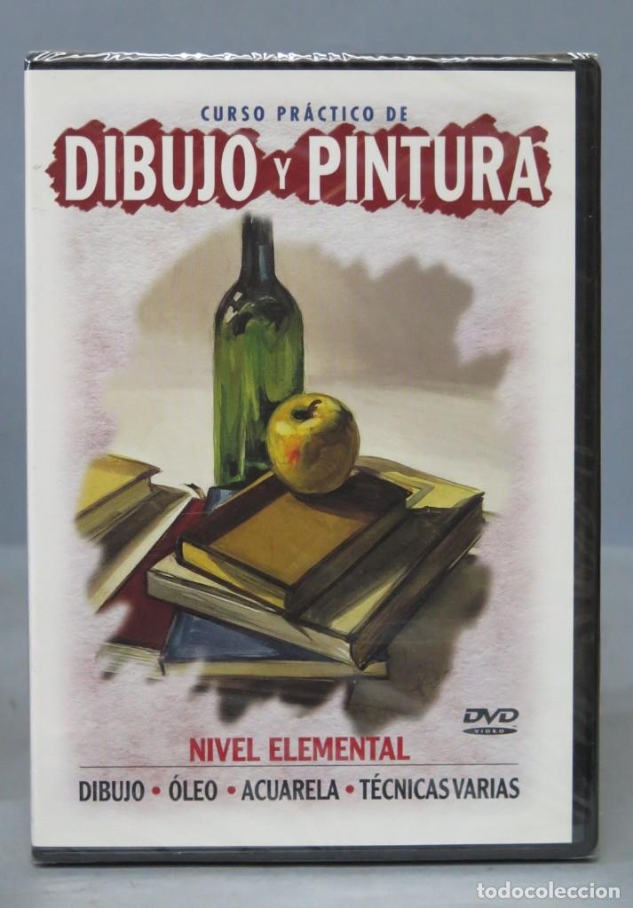 Cine: DVD. CURSO PRACTICO DE DIBUJO Y PINTURA. ELEMENTAL. PRECINTADA