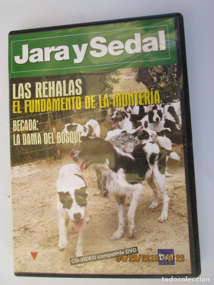 Cine: JARA Y SEDAL , LAS REHALAS EL FUNDAMENTO DE LA MONTERIA , BECADA : LA DAMA DEL BOSQUE