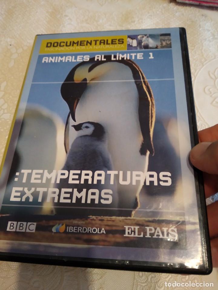 Kino: C-REG80 DVD ANIMALES AL LIMITE 1 TEMPARATURAS EXTREMAS