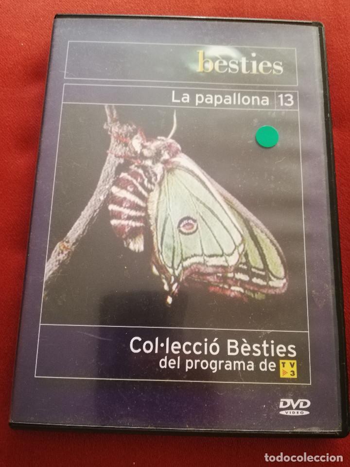 Cinema: LA PAPALLONA N&ordm; 13 (COL.LECCI&Oacute; B&Egrave;STIES DEL PROGRAMA DE TV3) DVD