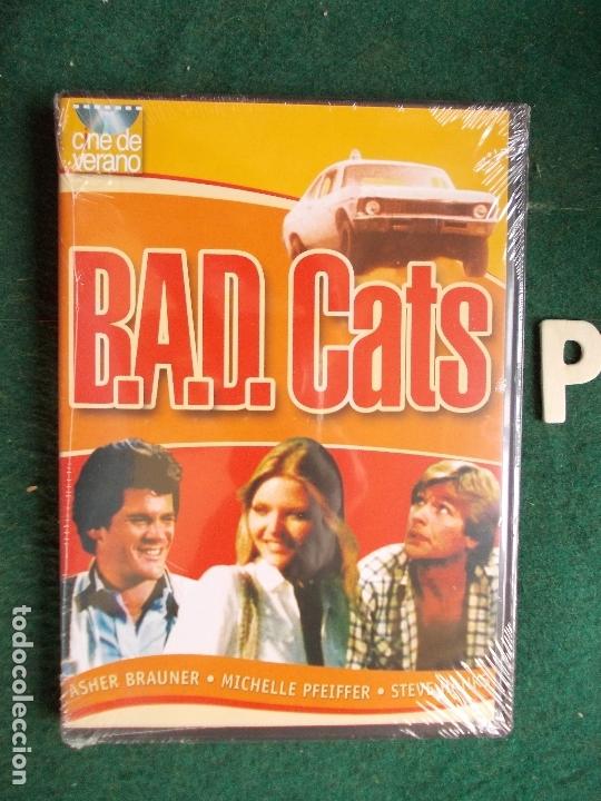 BAD CATS PRECINTADA