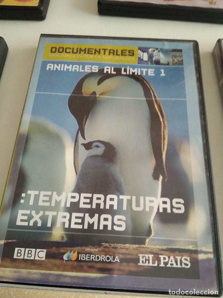 Kino: G-QK69V DVD DOCUMENTALES ANIMALES AL LIMITE 1 TEMPERATURAS EXTREMAS
