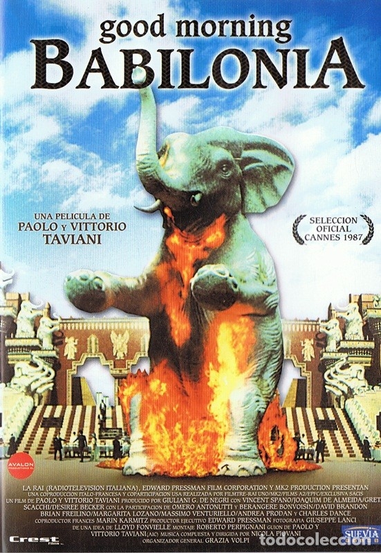 Cinema: GOOD MORNING BABILONIA