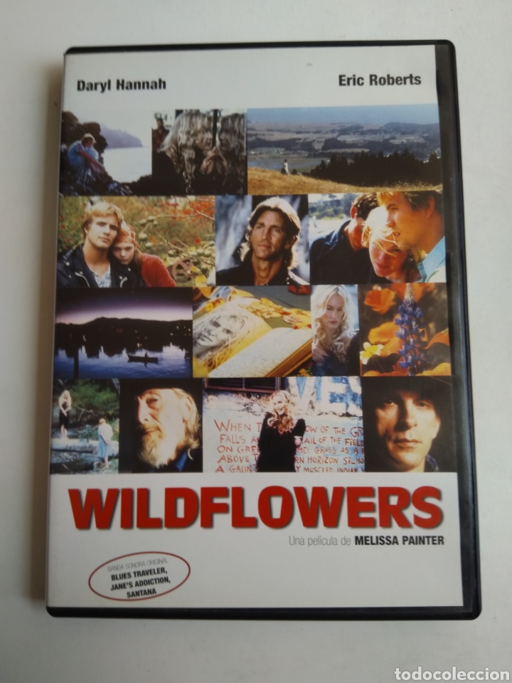 Cinema: DVD WILDFLOWERS