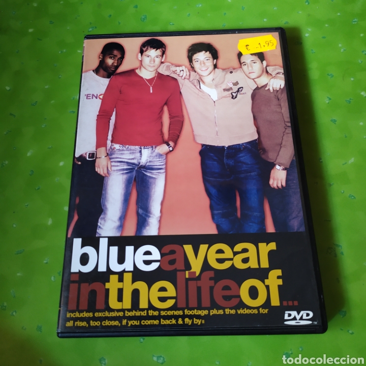 Cine: (S239) Blue a year in the life of... DVD SEGUNDAMANO
