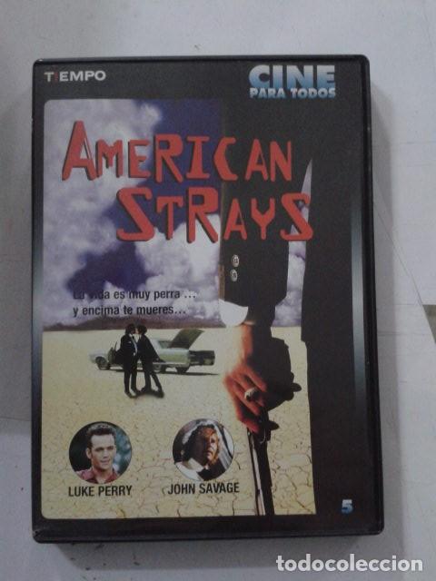 Cinema: AMERICAN STRAYS. SOLO DESPRECINTADO