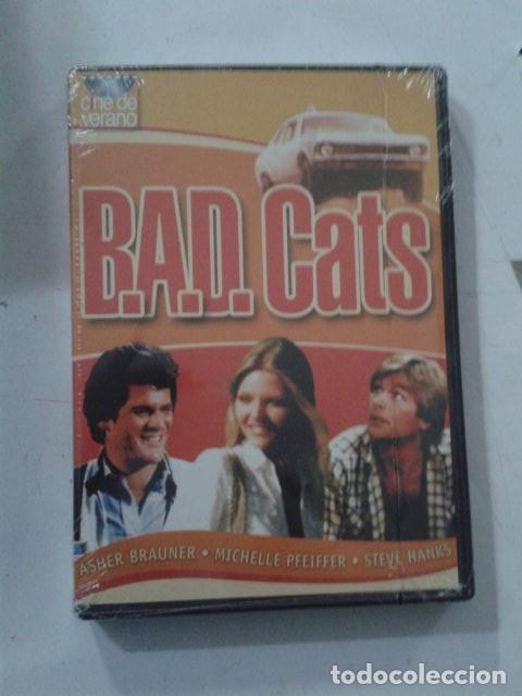 Cinema: BAD CATS. PRECINTADO