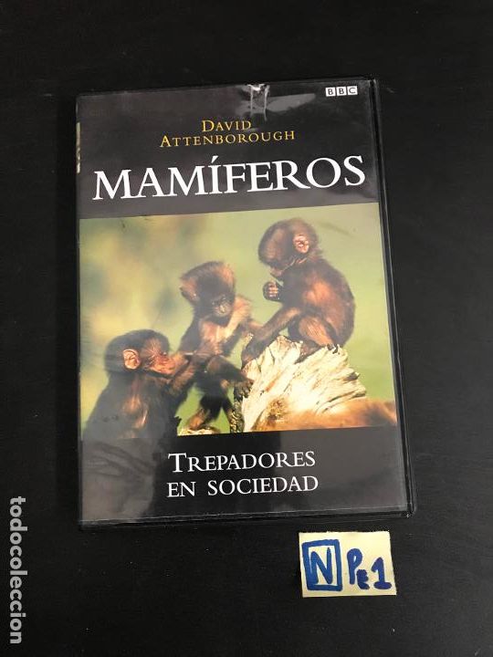 Cine: Mam&iacute;feros - Foto 1