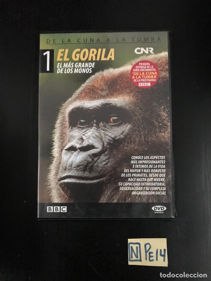 Cine: El Gorila - Foto 1