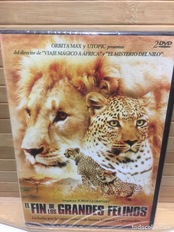 Kino: El fin de los Grandes Felinos [ DVD ] - Precintado -