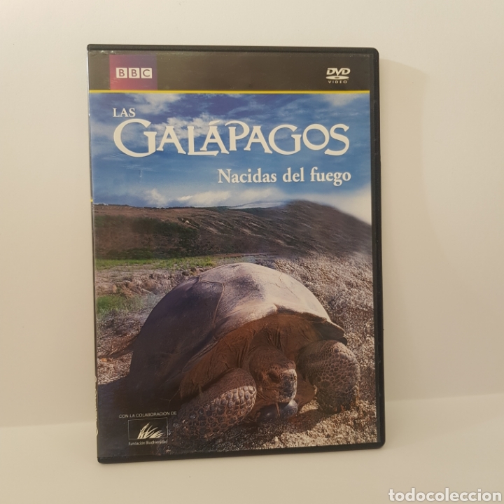 Cinema: DVS17 las Gal&aacute;pagos la ciudad del fuego - DVD SEGUNDAMANO TAPA FINA