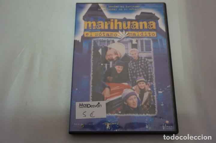 Cinema: (3-B3) - 1 X DVD / MARIHUANA - EL SOTANO MALDITO - WILLA O&acute;NEIL REA / ROBERT SAHKIES