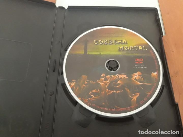 Cine: Cosecha mortal - Foto 2