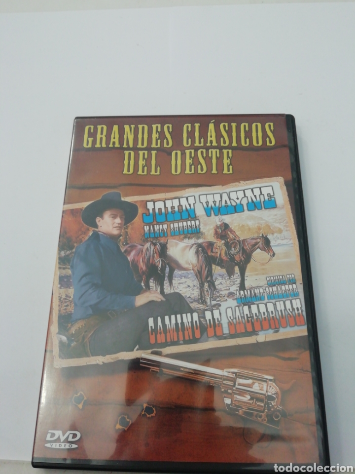 Cinema: (S 375) camino de sagwbrush - DVD SEGUNDA MANO