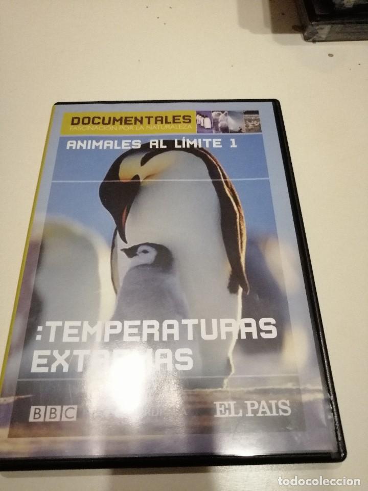 Cinema: G-118 DVD CINE ANIMALES AL LIMITE 1 TEMPERATURAS EXTREMAS