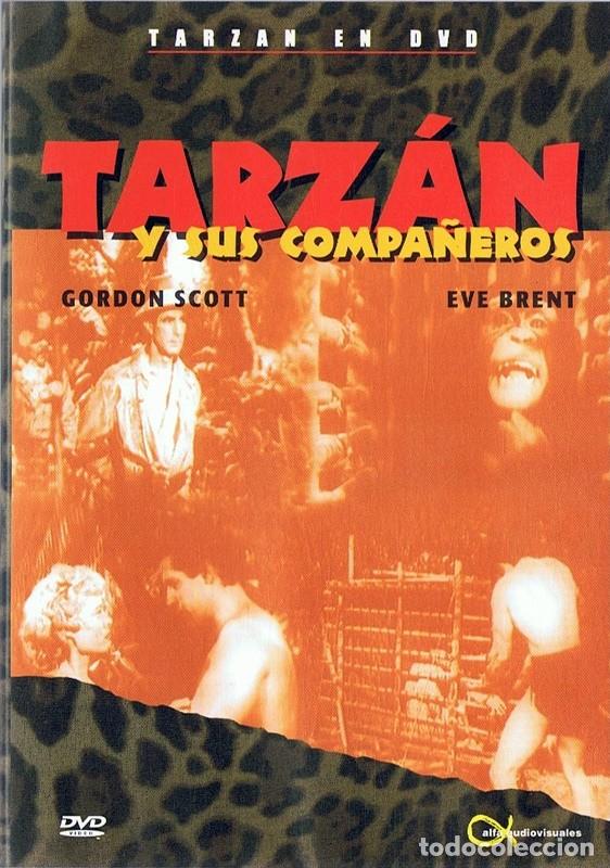 Cine: TARZ&Aacute;N Y SUS COMPA&Ntilde;EROS GORDON SCOTT