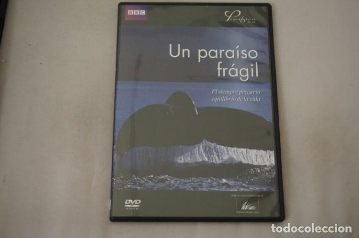 Cinema: (6-B6) / 1 X DVD - UN PARAISO FRAGIL - EL SIEMPRE PRECARIO EQUILIBRIO DE LA VIDA