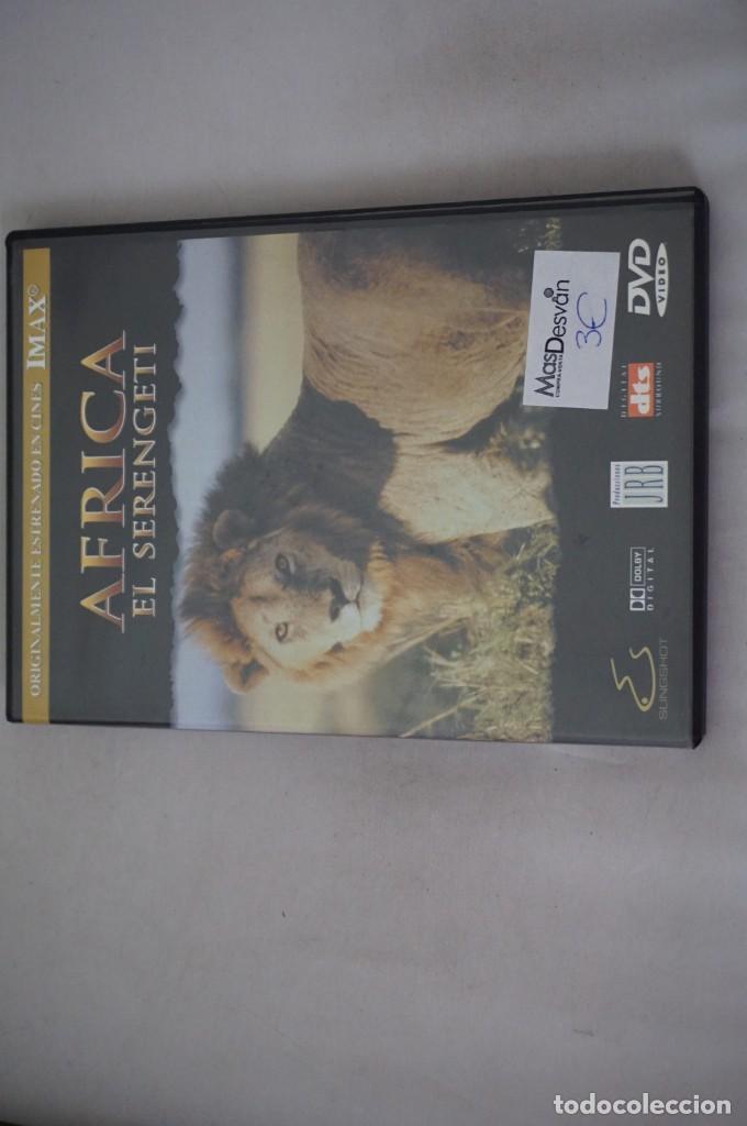 Cinema: (7-B6) / 1 X DVD - AFRICA EL SERENGETI - IMAX