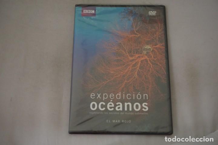 Cine: (5-B6) / 1 X DVD - PRECINTADA - EXPEDICION OCEANOS - EL MAR ROJO