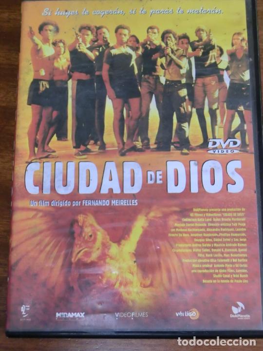 Cinema: DVD - CIUDAD DE DIOS, de Fernando Meirelles