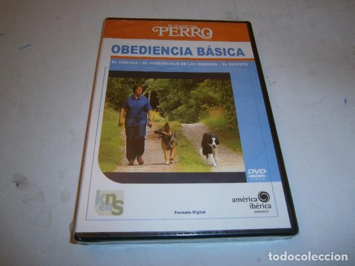 Cinema: OBEDIENCIA BASICA EL MUNDO DEL PERRO DVD NUEVO PRECINTADO