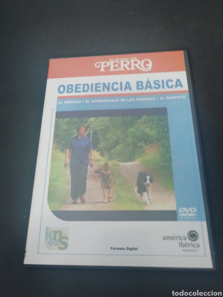 Cinema: DVS 26 obedienciabasica -DVD SEGUNDAMANO TAPA FINA