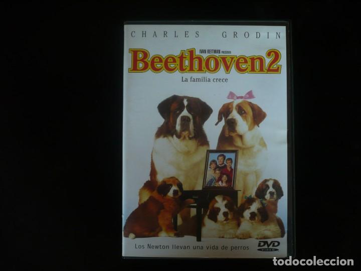 Cine: beethoven 2 - Foto 1