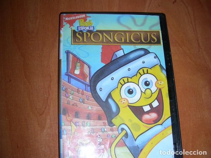 Cine: DVD SPONGICUS , BOB ESPONJA