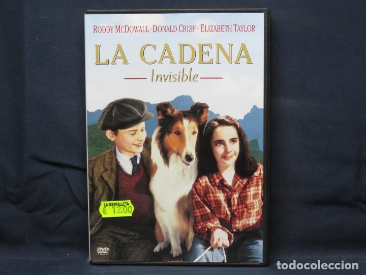 Cine: LA CADENA INVISIBLE - DVD - Foto 1