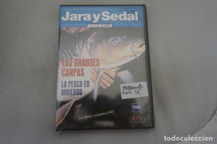 Cin&eacute;ma: 3-B7 - 1XDVD PRECINTADO / JARA Y SEDAL PESCA - LAS GRANDES CARPAS, LA PESCA EN INVIERNO