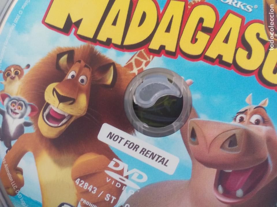 Cine: MADAGASCAR . DVD - Foto 3