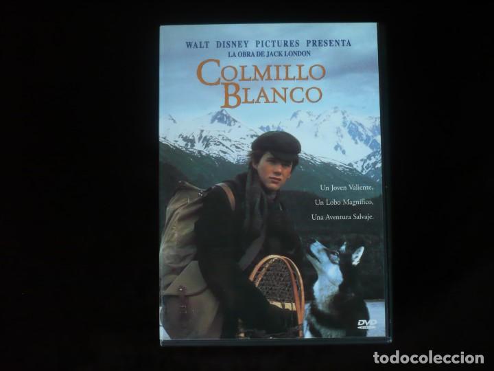Cine: colmillo blanco - dvd como nuevo - Foto 1
