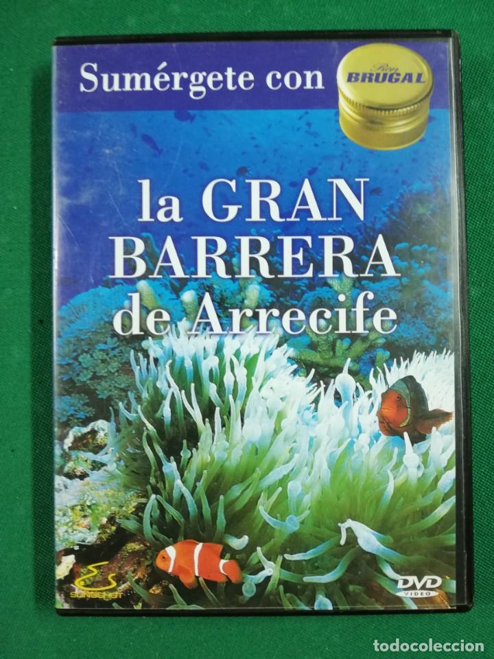 Cine: LA GRAN BARRERA DE ARRECIFE - SUM&Eacute;RGETE CON RON BRUGAL