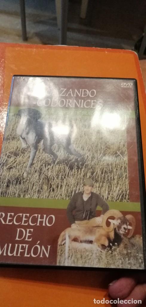 Cine: GG-PAP74 DVD CINE CAZANDO CODORNICES CON POINTER Y BRACO RECECHO DE MUFLON