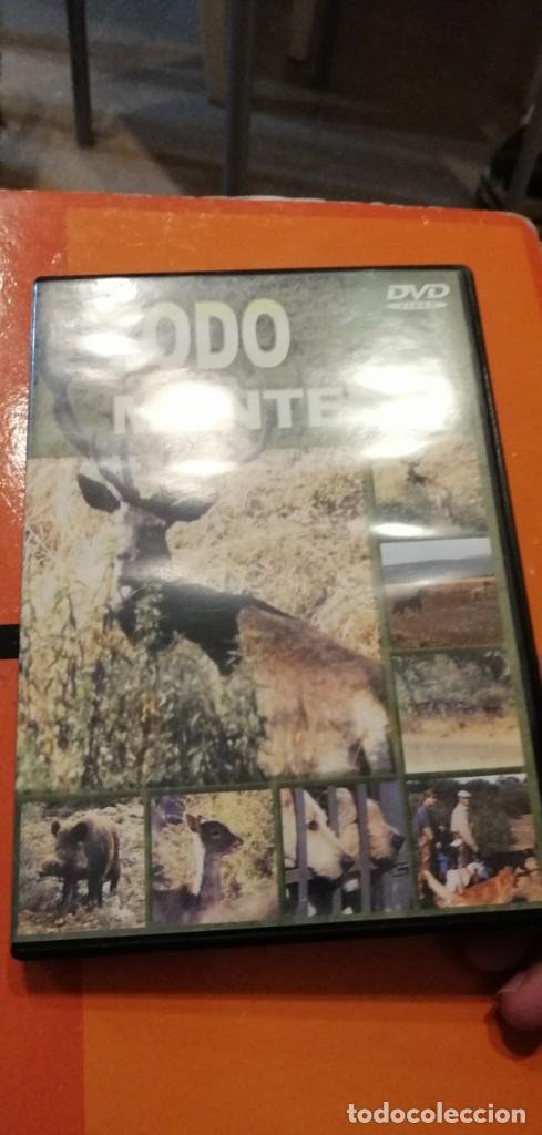 Kino: GG-PAP74 DVD CINE TODO SOBRE MONTERIA