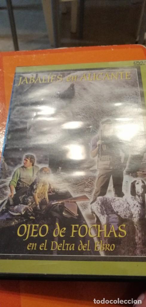 Kino: GG-PAP74 DVD CINE JABALIES EN ALICANTE OJEO DE FOCHAS EN EL DELTA DEL EBRO