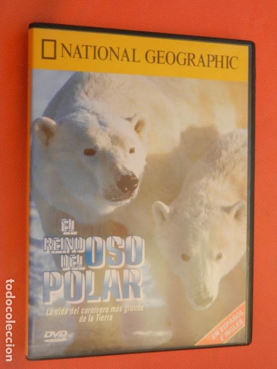 Cine: EL REINO DEL OSO POLAR -DVD- LA VIDA DEL CARNIVORO MAS GRANDE - NATIONAL GEOGRAPHIC - ESP- INGLES