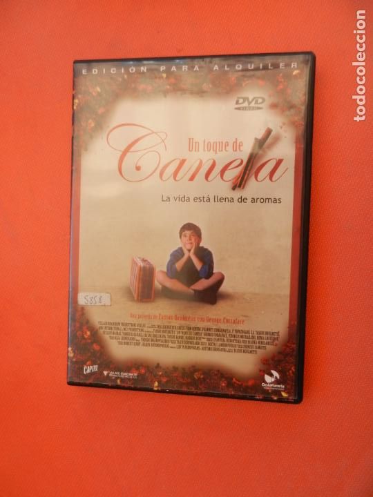 Cine: UN TOQUE DE CANELA - DVD - LA VIDA ESTA LLENA DE AROMAS -