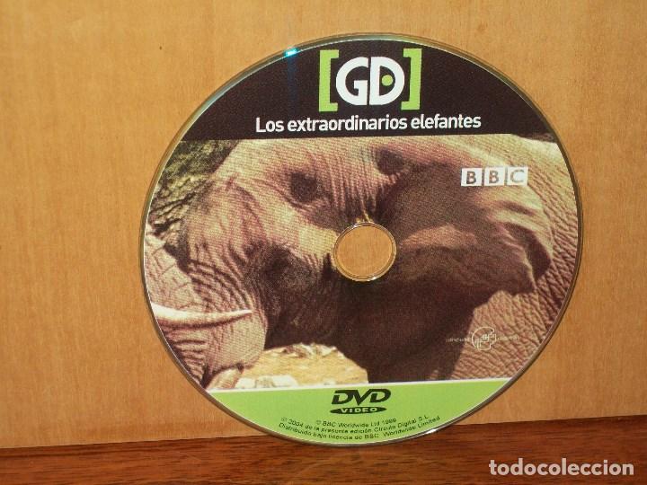 Cine: DOCUMENTALES : LOS EXTRAORDINARIOS ELEFANTES - SOLO DVD SIN CARATULAS, NI CAJA