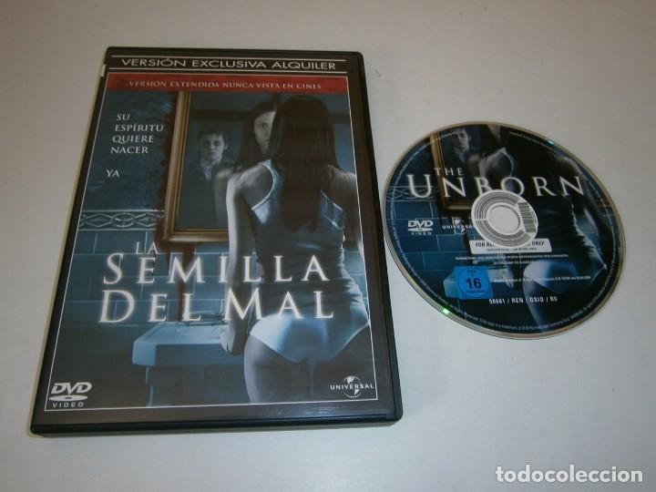 Cine: LA SEMILLA DEL MAL DVD VERSION EXTENDIDA