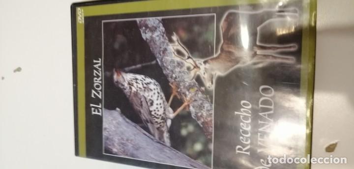 Kino: C-REG80 DVD CINE EL ZORZAL RECECHO DE VENADO