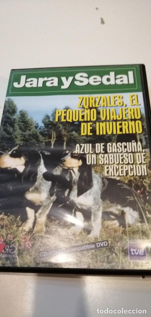 Kino: C-REG80 DVD CINE JARA Y SEDAL ZORZALES EL PEQUE&Ntilde;O VIAJERO DE INVIERNO