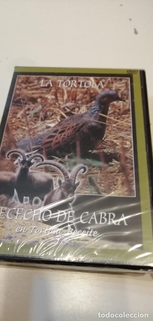 Kino: C-REG80 DVD CINE NUEVO PRECINTADO LA TORTOLA RECECHO DE CABRA