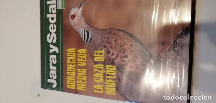 Kino: C-REG80 DVD CINE JARA Y SEDAL NUEVO PRECINTADO AGRADECIDA MEDIA VEDA LA CAZA DEL MUFLON