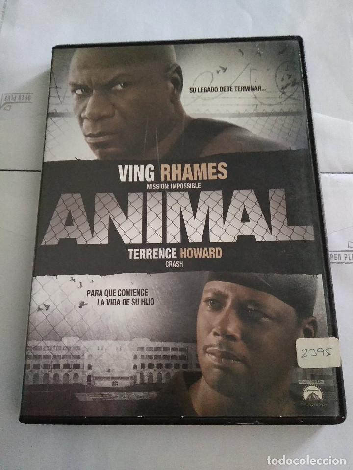 Cine: ANIMAL - Foto 1