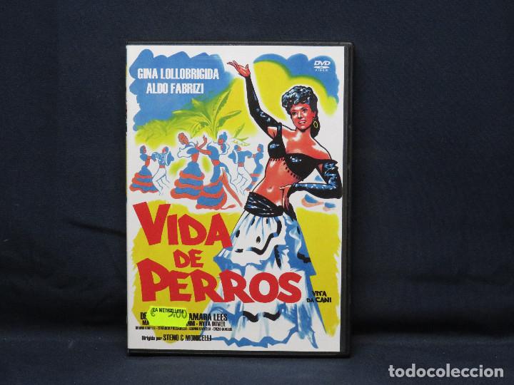 Cine: VIDA DE PERROS - DVD - Foto 1