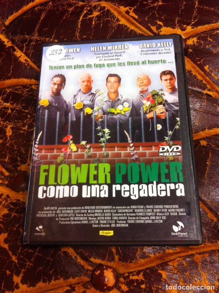 Cinema: PEL&Iacute;CULA EN DVD. CAJA FINA. FLOWER POWER. COMO UNA REGADERA